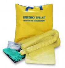 ESP Sorbents SK-YTBL - Zipper Bag Hazmat <br>Spill Kit