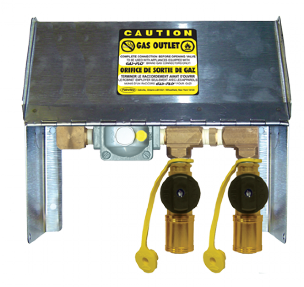 DUAL OUTLET WITH STAINLESS COVER